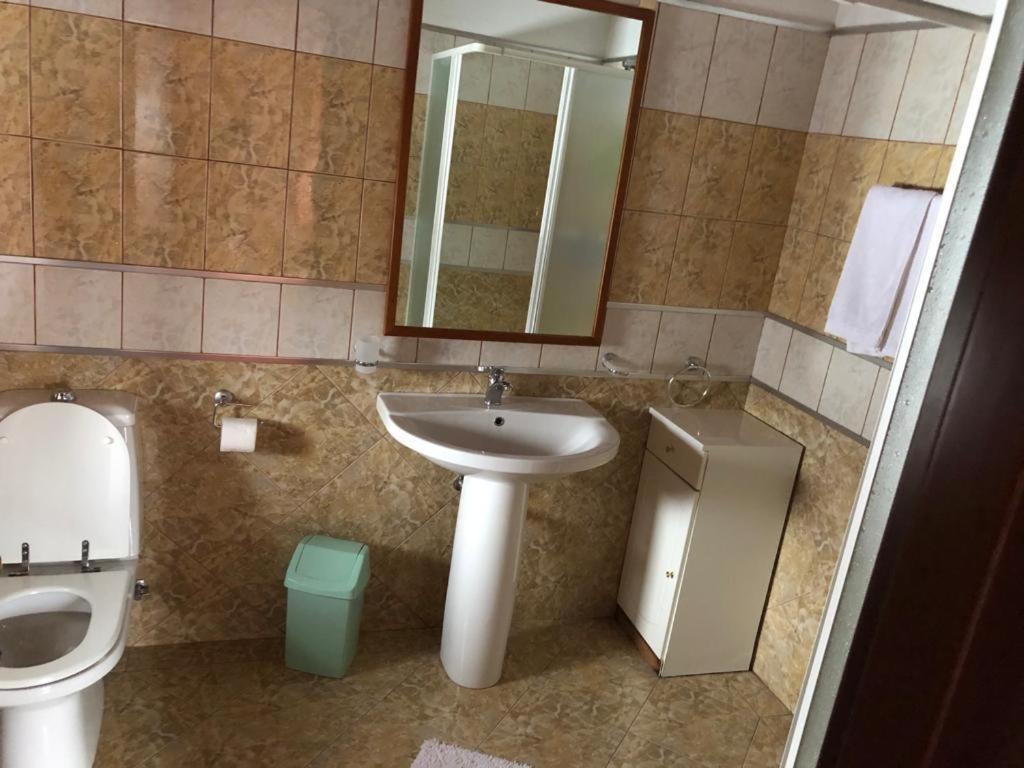 Vila Eli Villa Azuga Ngoại thất bức ảnh